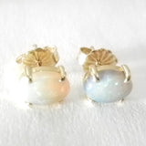 Made to Order 14kt  Lightening Ridge Opal Earrings